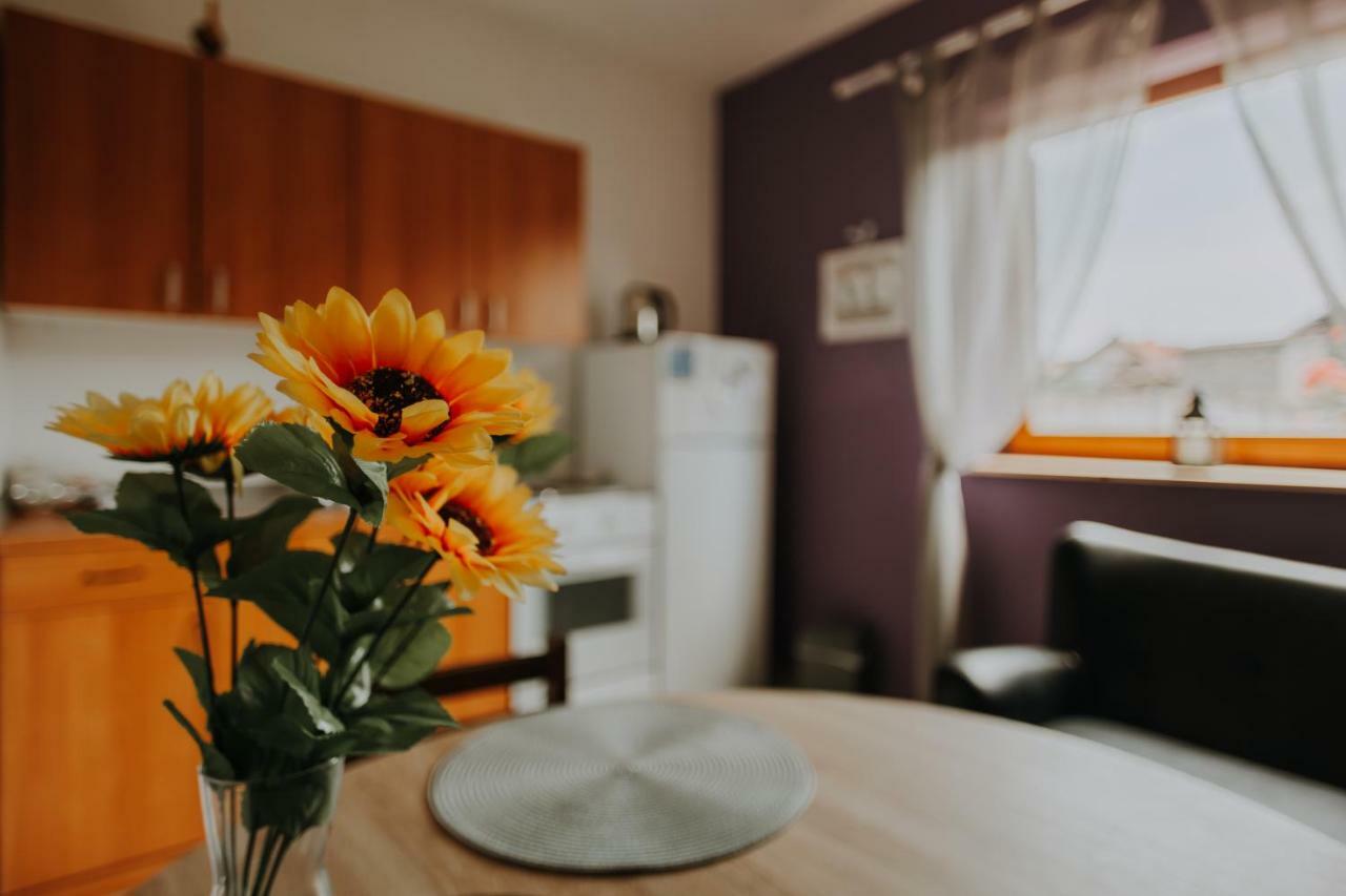 Apartmani Marin วูโควาร์ ภายนอก รูปภาพ